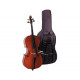 GEWA Cello outfit Europe 1/2 Виолончель в комплекте