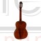 PRO ARTE GC 242 II гитара классическая, верхняя дека массив кедра, глянцевый лак