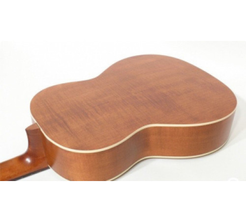 PRO ARTE GC 242 II гитара классическая, верхняя дека массив кедра, глянцевый лак