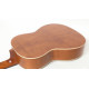 PRO ARTE GC 242 II гитара классическая, верхняя дека массив кедра, глянцевый лак