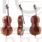 GEWA Cello Allegro-VC1 Виолончель 4/4 в комплекте