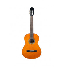 GEWApure Classical Guitar Basic Plus Natural 4/4 Классическая гитара