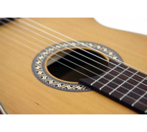 PRO ARTE GC 242 II гитара классическая, верхняя дека массив кедра, глянцевый лак