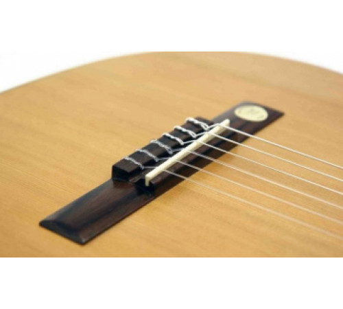 PRO ARTE GC 242 II гитара классическая, верхняя дека массив кедра, глянцевый лак