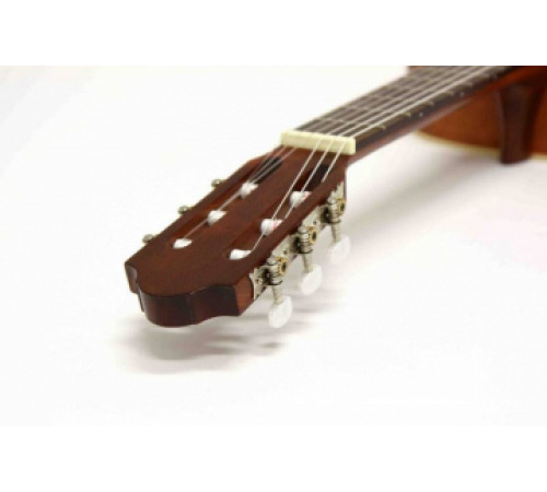 PRO ARTE GC 242 II гитара классическая, верхняя дека массив кедра, глянцевый лак