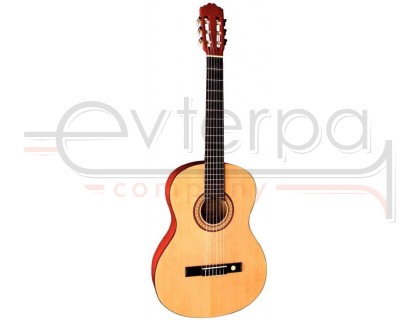 TENSON гитара F500171 гитара классическая 4/4