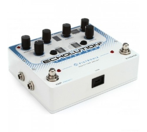 PIGTRONIX E2F Echolution 2 Filter Pro Delay эффект гитарный дилэй