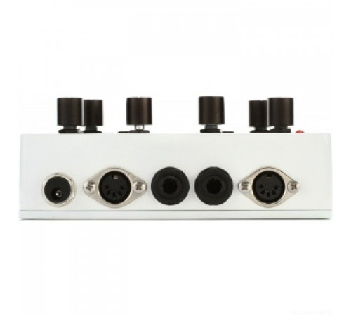 PIGTRONIX E2F Echolution 2 Filter Pro Delay эффект гитарный дилэй