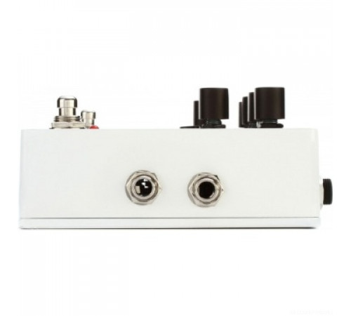 PIGTRONIX E2F Echolution 2 Filter Pro Delay эффект гитарный дилэй