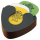 DUNLOP GA21 Acoustic Guitar Accessory Pack With Strap набор аксессуаров д/акустической гитары+ремень