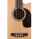MARTIN BC-16GTE акустическая бас-гитара c футляром