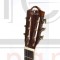 VIRGINIA V-C17 гитара классическая, топ массив ели/махагон