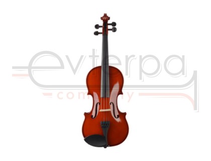 Prima P-100 1/2 Скрипка в комплекте (футляр, смычок, канифоль)