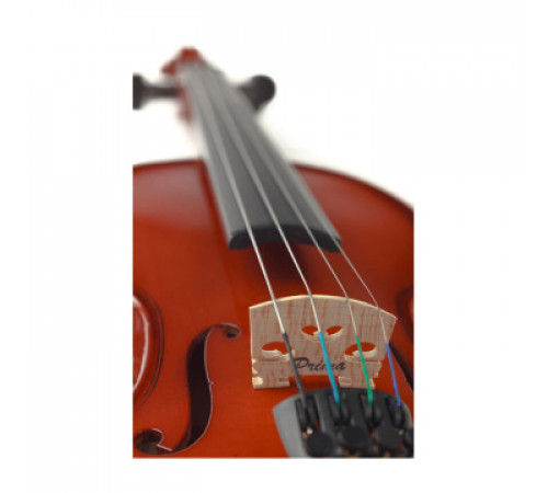 Prima P-100 4/4 Скрипка в комплекте (футляр, смычок, канифоль)