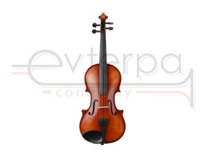 Prima P-200 1/2 Скрипка в комплекте (футляр, смычок, канифоль)