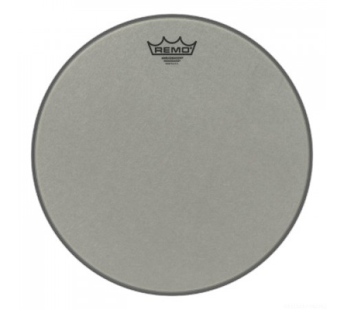 REMO RA-0016-SS Batter, Ambassador, Renaissance, 16'' пластик