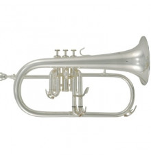 Флюгельгорн ROY BENSON FH-302S Bb