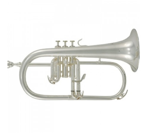Флюгельгорн ROY BENSON FH-302S Bb