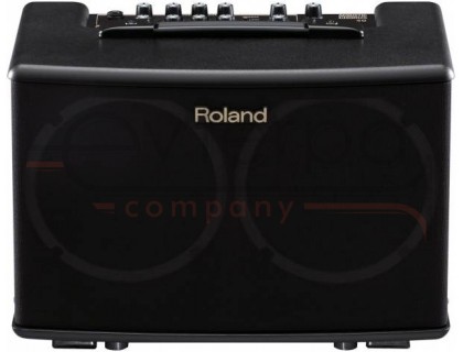 ROLAND AC-40 - Комбоусилитель для акустической гитары