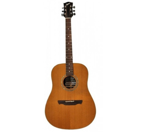 "Cuenca W-300 B GZ/LP Гитара акустическая"