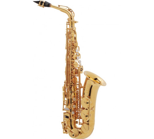 "Selmer ALTO-SIII-JUBILE-GG (2313030076) Cаксофон альт Eb ""SERIE III Jubilee"""