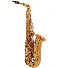 "Selmer ALTO-REFERENCE-DGG (2313042016) Саксофон альт Eb"