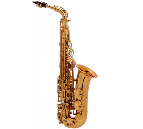 "Selmer ALTO-REFERENCE-DGG (2313042016) Саксофон альт Eb"