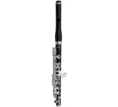 ROY BENSON PC-602 флейта Piccolo