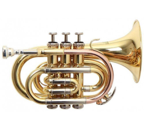 ROY BENSON PT-302 Bb карманная труба