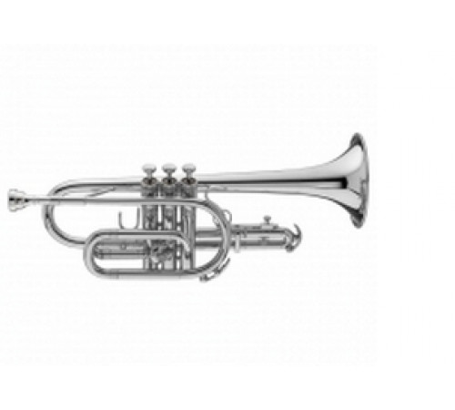 "King 605WSP Корнет Bb"
