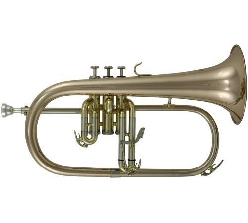 Флюгельгорн  ROY BENSON FH-302G Bb
