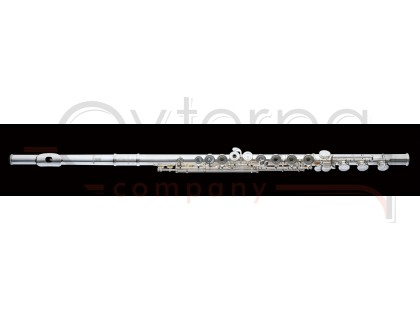 "Haynes AF900SE-BOС#D Amadeus Флейта C"