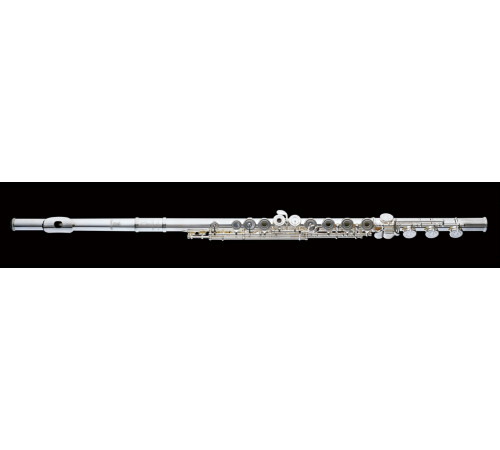 "Haynes AF900SE-BOС#D Amadeus Флейта C"