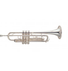 "Amati ATR 313S-OT FESTIVAL Труба Bb"
