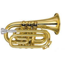 "Amati ATR314I-O Труба Bb карманная (Pocket)"