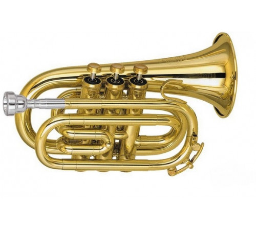 "Amati ATR314I-O Труба Bb карманная (Pocket)"