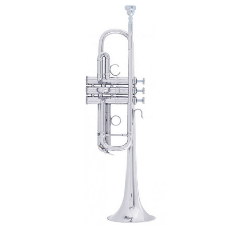 "Bach AC190S Stradivarius Artisan Труба C"
