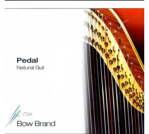 "BB19 Bow Brand"