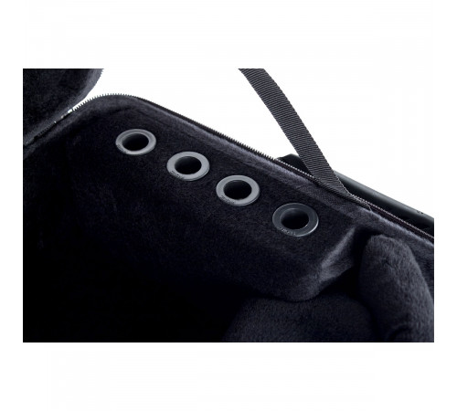 Protec Trumpet / Flugel Combination PRO PAC Case, Model PB301F Жесткий противоударный кейс для трубы и флюгельгорна 