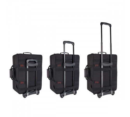 Protec Trumpet / Flugel Combination PRO PAC Case, Model PB301F Жесткий противоударный кейс для трубы и флюгельгорна 
