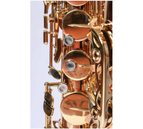 Pierre Cesar JBTS-1010L Тенор-саксофон Bb, лакированный
