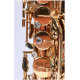 Pierre Cesar JBTS-1010L Тенор-саксофон Bb, лакированный