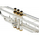 "Bach 180S37 CUSTOM Stradivarius Труба Bb"