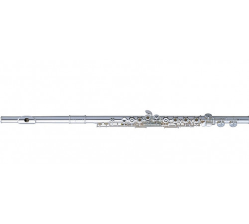 "Miyazawa MJ-101SRE Флейта C"