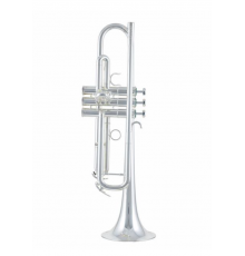 Schilke S22 HD Труба Bb, профессиональная