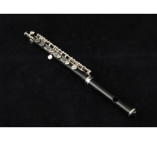 "Haynes Piccolo-W-1 Флейта пикколо"