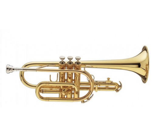 "King 603 Корнет Bb"