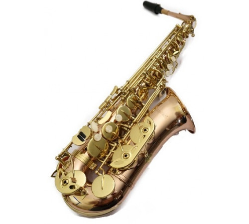 "Pierre Cesar M1105BPP Саксофон альт Eb"