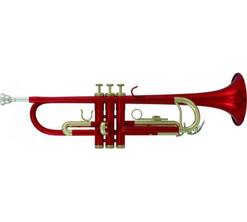 "Roy Benson TR-101R Труба Bb"