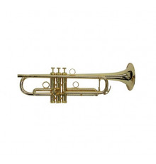 "Brasspire Unicorn J. Michael BPTR-1000G Труба Bb"